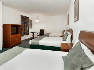 Hospedaje Hotel San Jorge Saltillo Coahuila